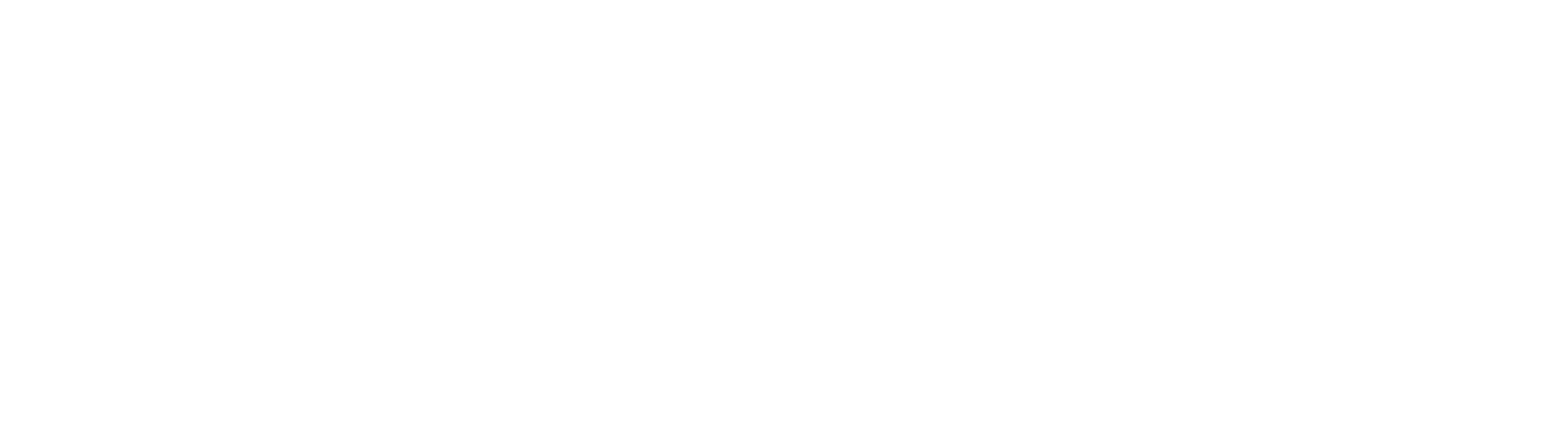 Logo Soha Kine Prévention blanc cabinet de kinésithérapie à Rennes : formation , soin, intervention
